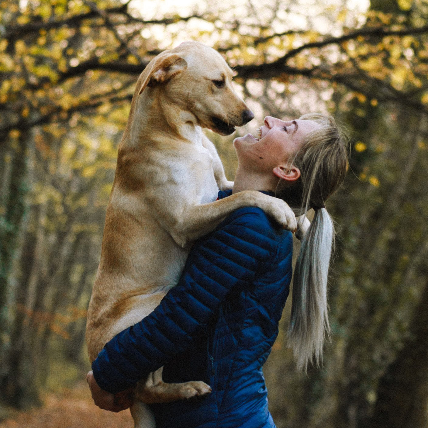 Best Dog and Best Cat dietary supplements are designed to promote mobility and enhance the health and wellbeing of your pet