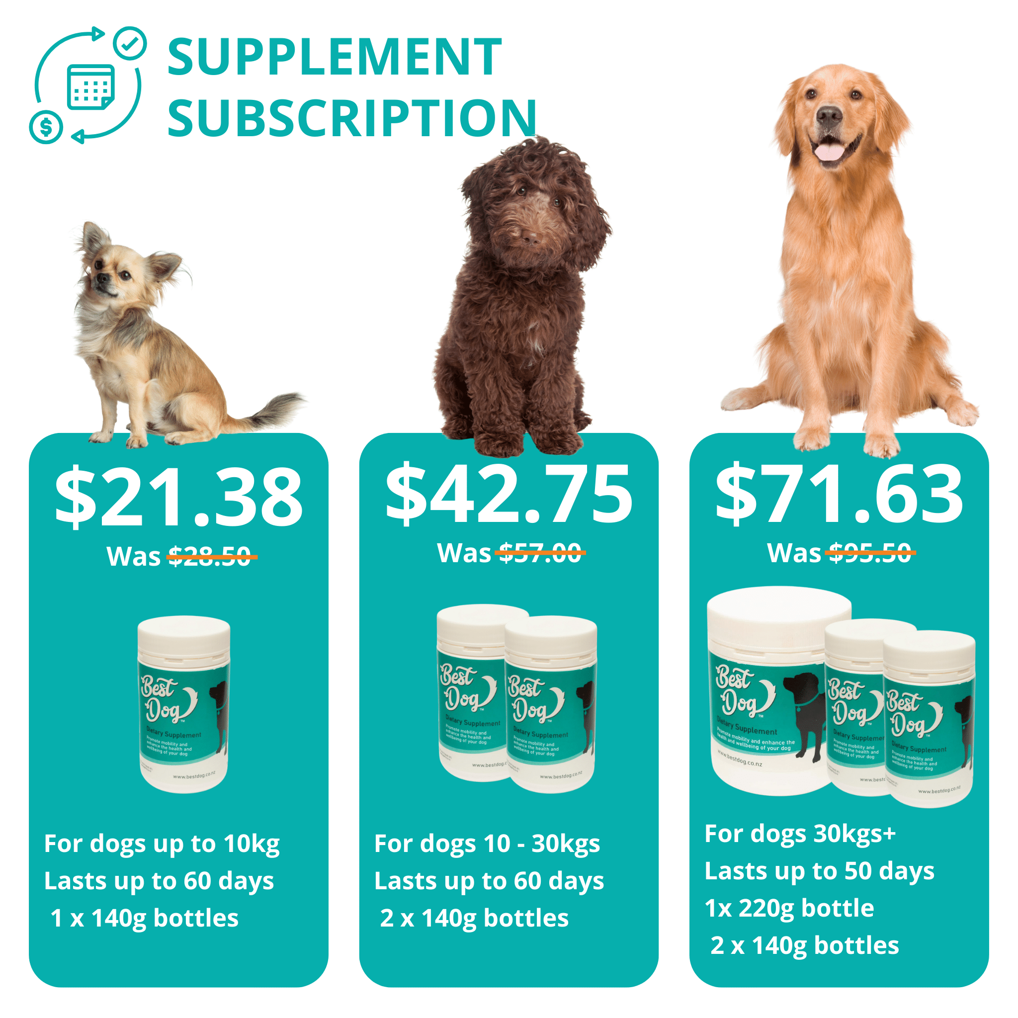 Best dog shop food supplement