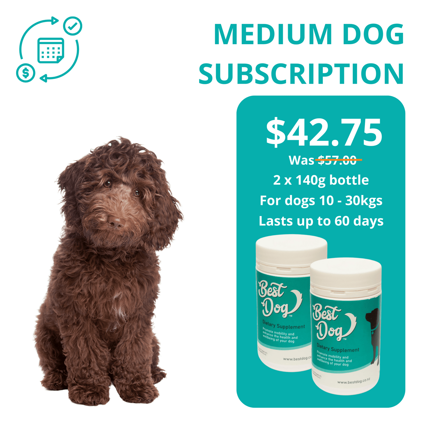 Best dog outlet subscription