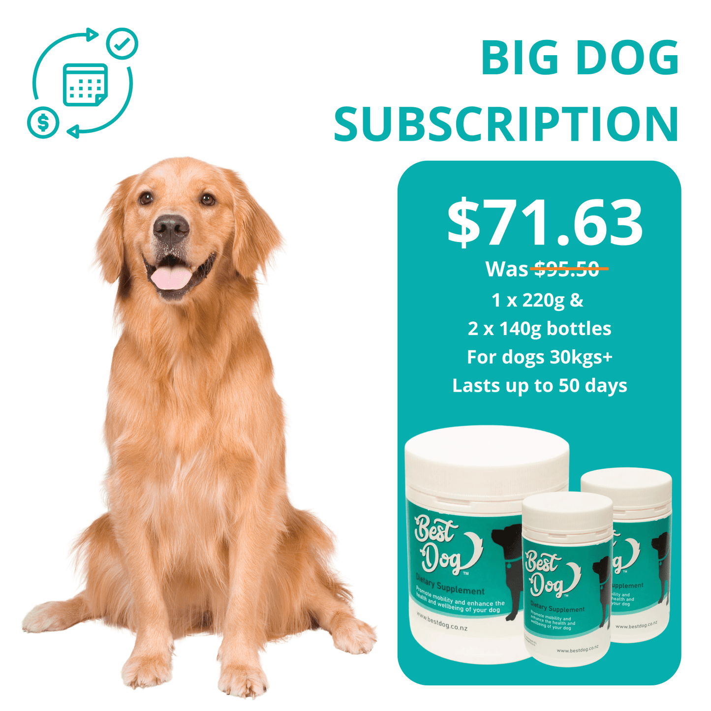 Best Dog™ Subscription Packages