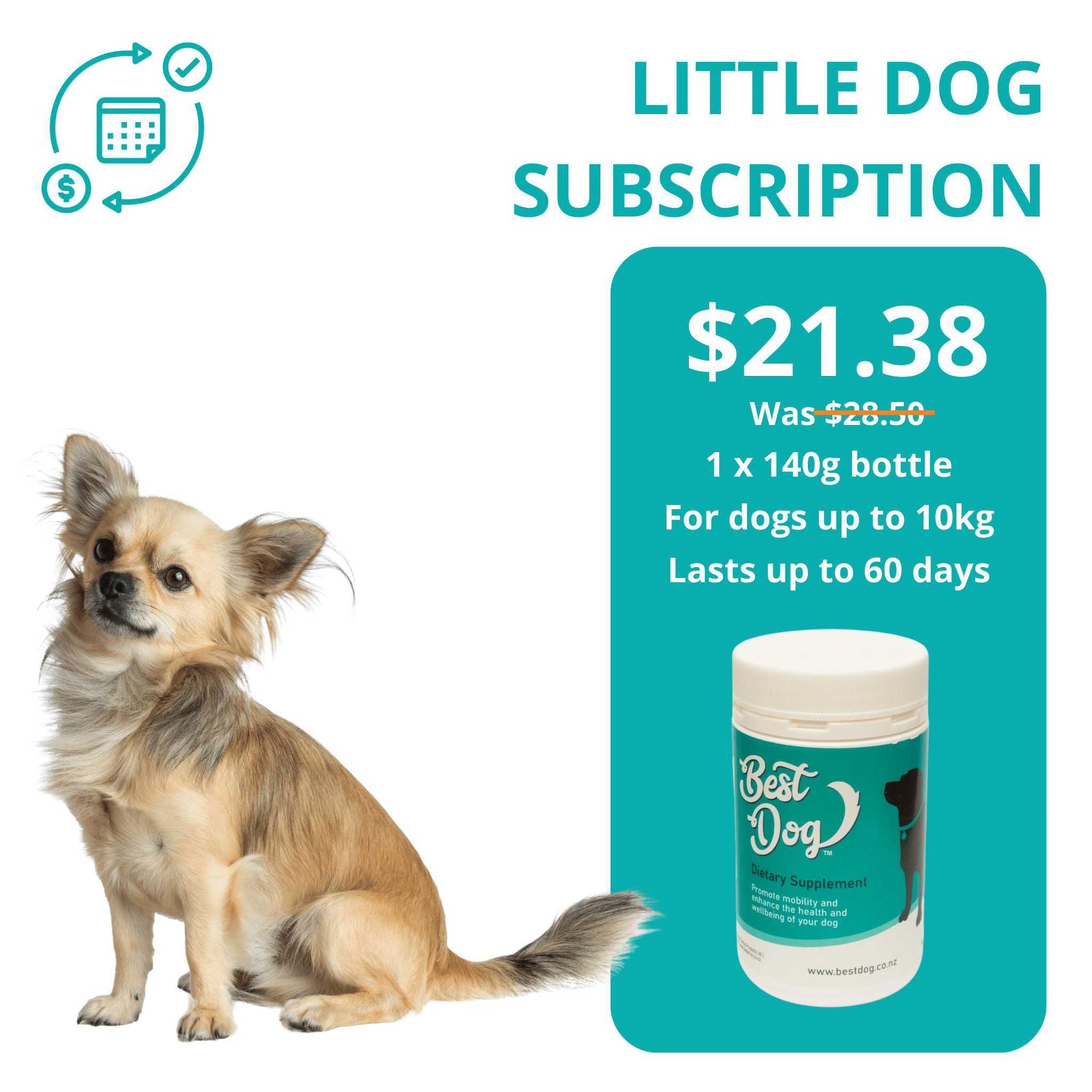 Dog subscriptions clearance